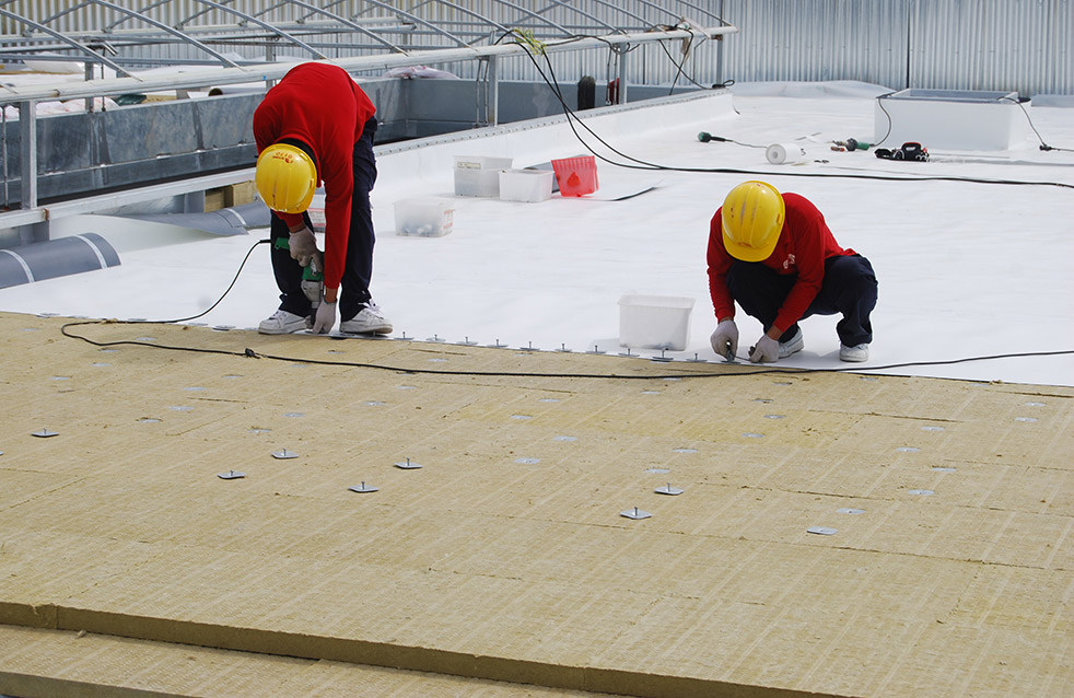 游艇会·yth206(中国)最新官方网站