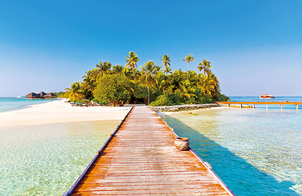 游艇会·yth206(中国)最新官方网站