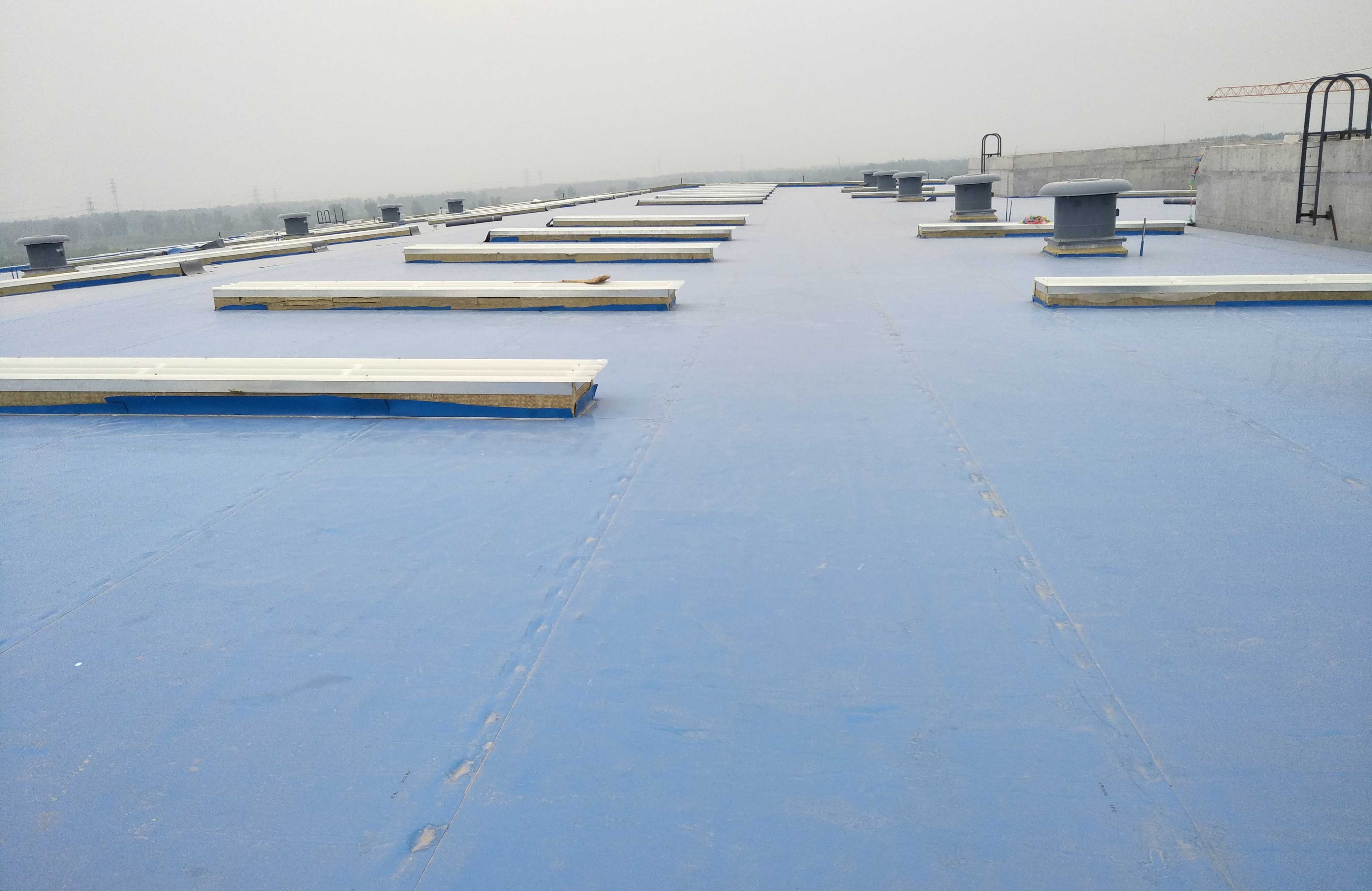 游艇会·yth206(中国)最新官方网站