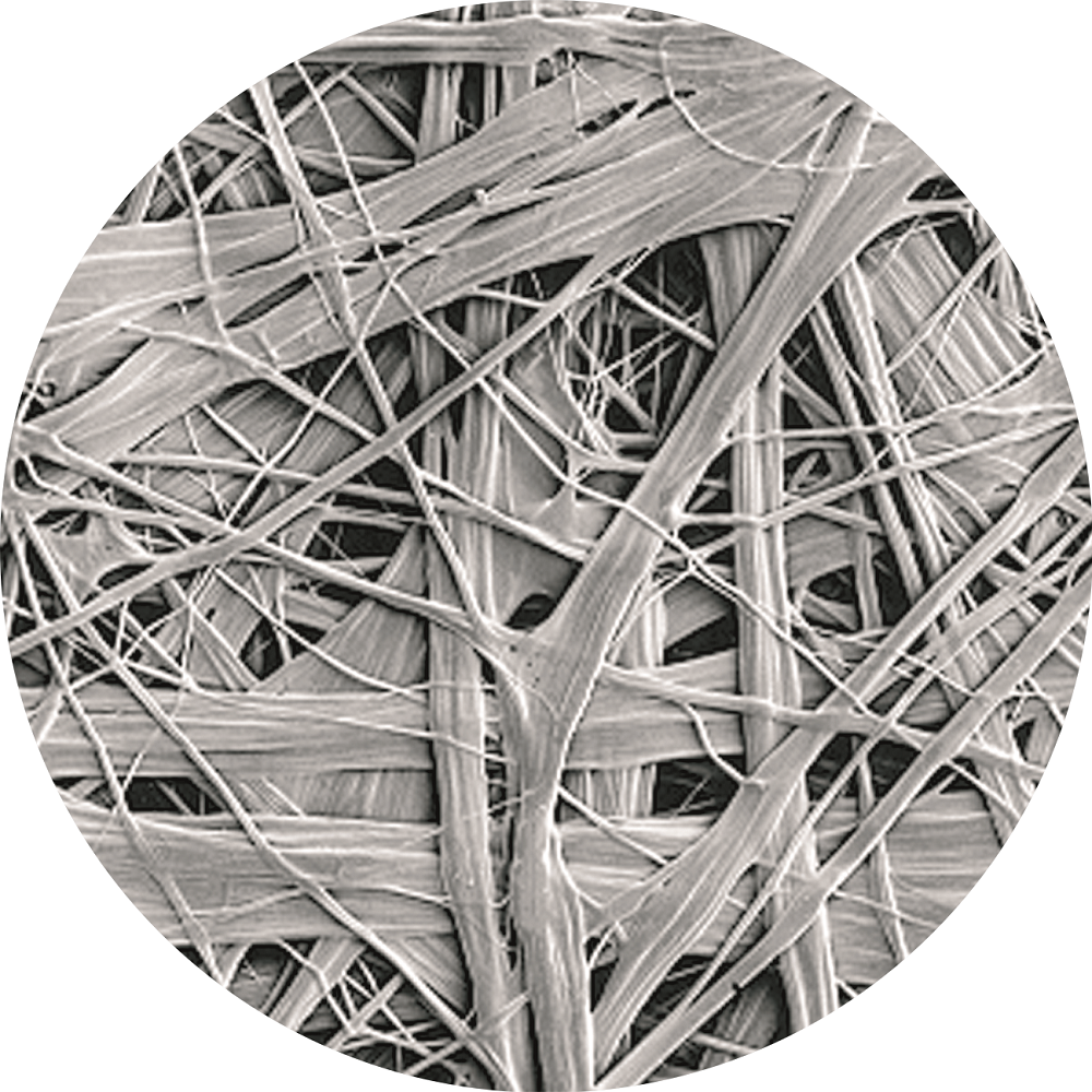 游艇会·yth206(中国)最新官方网站