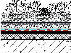 游艇会·yth206(中国)最新官方网站