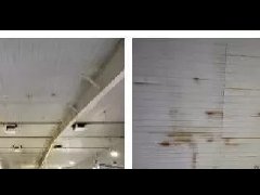 游艇会·yth206(中国)最新官方网站