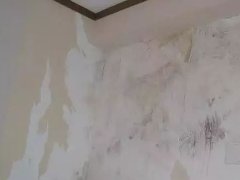 游艇会·yth206(中国)最新官方网站