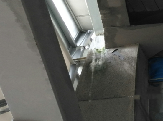 游艇会·yth206(中国)最新官方网站