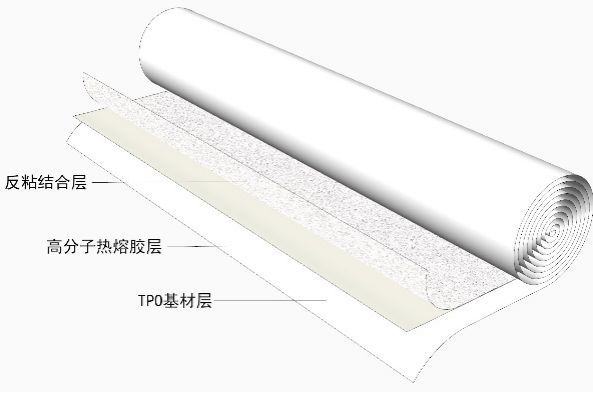 游艇会·yth206(中国)最新官方网站