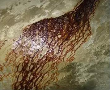 游艇会·yth206(中国)最新官方网站