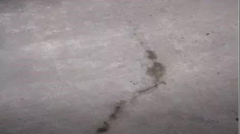 游艇会·yth206(中国)最新官方网站