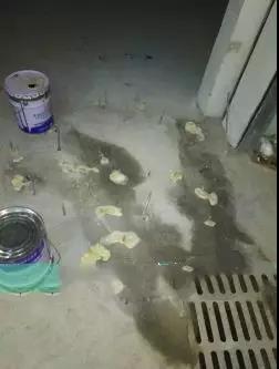 游艇会·yth206(中国)最新官方网站