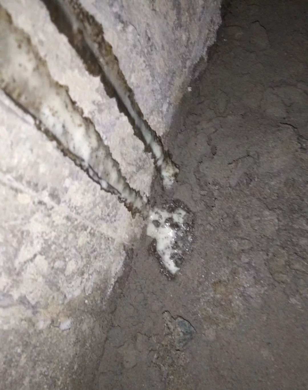 游艇会·yth206(中国)最新官方网站