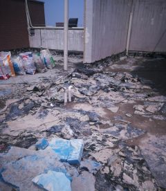 游艇会·yth206(中国)最新官方网站