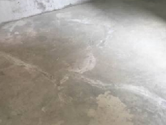 游艇会·yth206(中国)最新官方网站