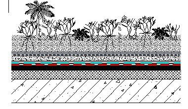 游艇会·yth206(中国)最新官方网站