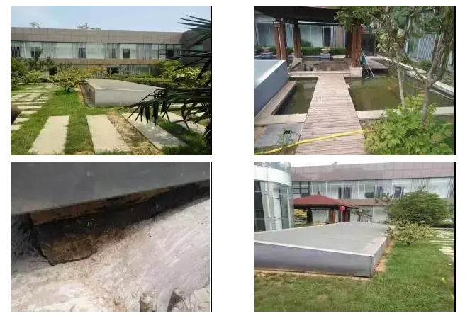 游艇会·yth206(中国)最新官方网站