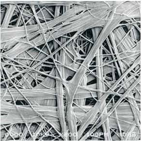 游艇会·yth206(中国)最新官方网站