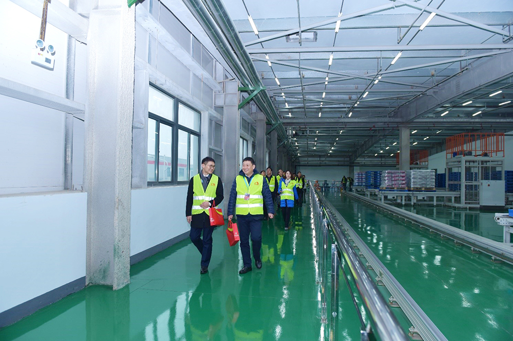 游艇会·yth206(中国)最新官方网站