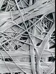 游艇会·yth206(中国)最新官方网站