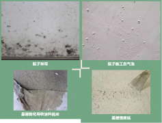 游艇会·yth206(中国)最新官方网站