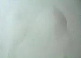 游艇会·yth206(中国)最新官方网站