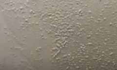 游艇会·yth206(中国)最新官方网站