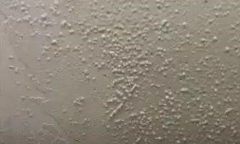 游艇会·yth206(中国)最新官方网站