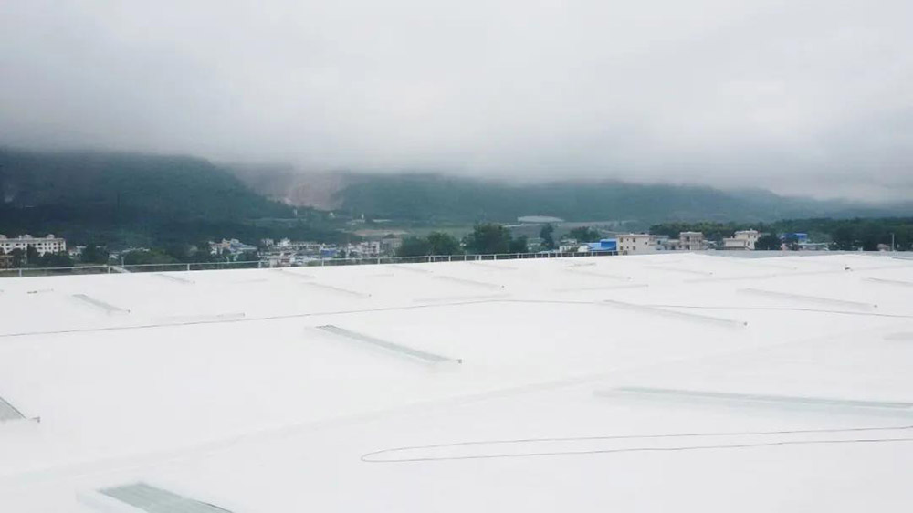 游艇会·yth206(中国)最新官方网站