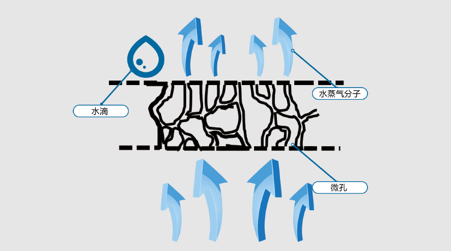 游艇会·yth206(中国)最新官方网站